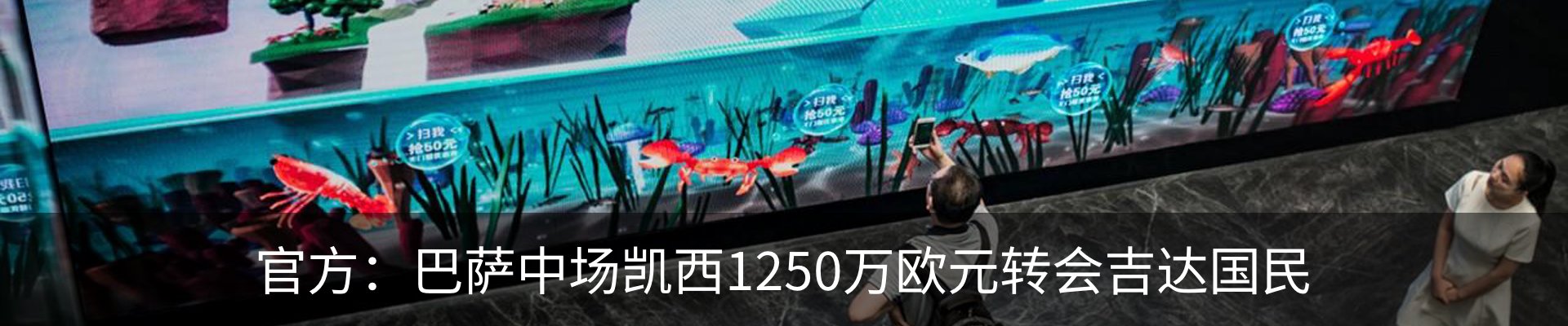 新闻动态