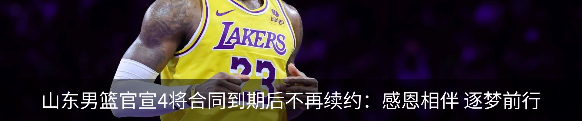 新闻动态